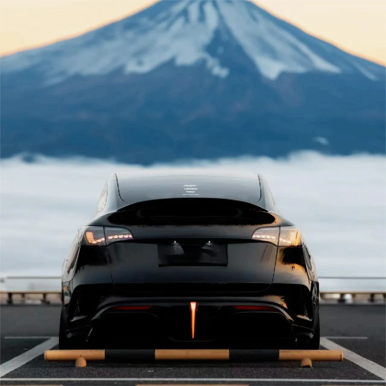 Dragon Scale Tail Lights For Tesla Model 3/Y