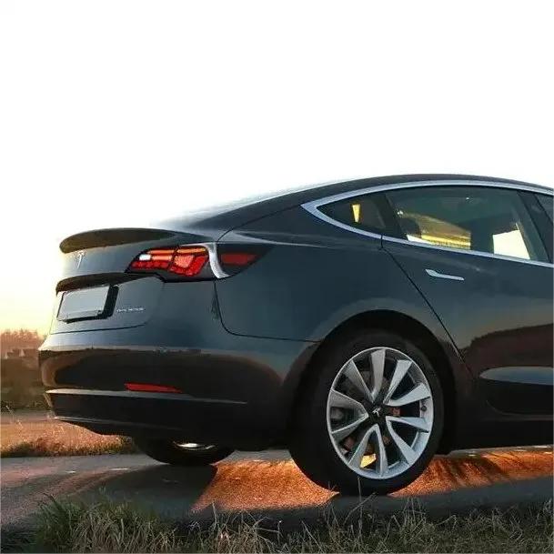 Dragon Scale Tail Lights For Tesla Model 3/Y