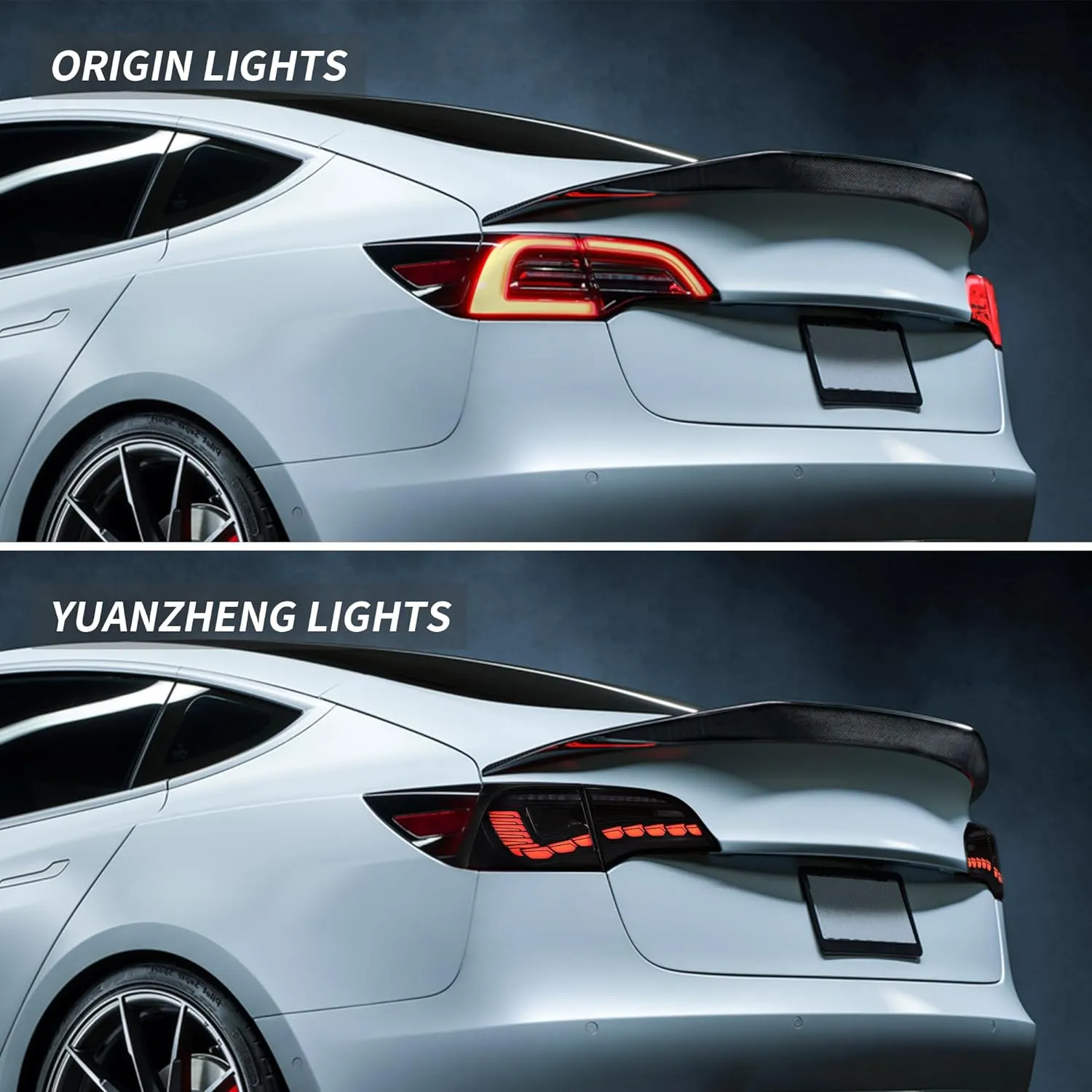 Dragon Scale Tail Lights For Tesla Model 3/Y