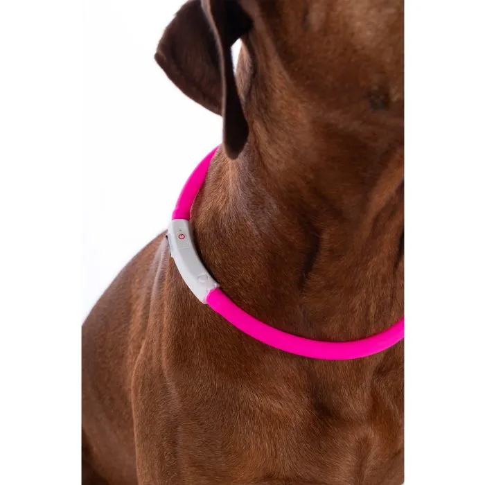 Illuminated Dog Collar LED