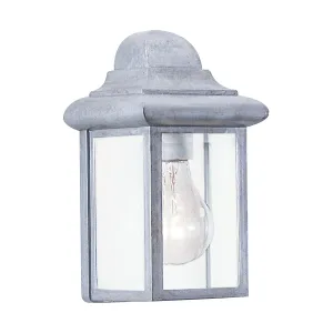 Mullberry Hill 9 In. Outdoor Wall Light Clear Beveled Silver Finish