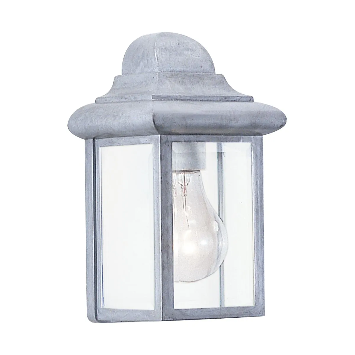 Mullberry Hill 9 In. Outdoor Wall Light Clear Beveled Silver Finish