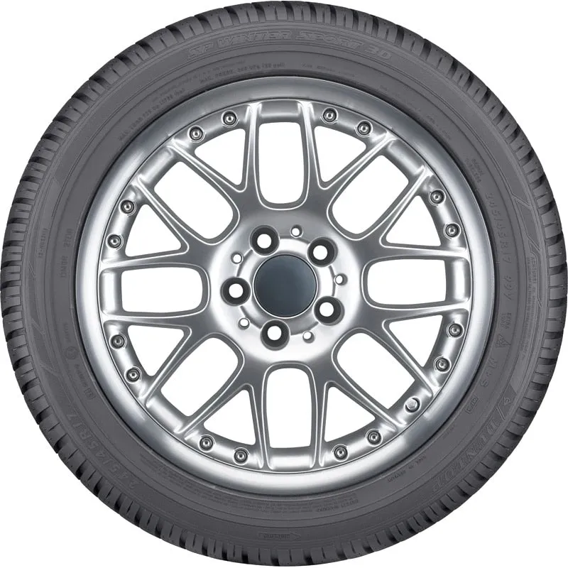 SP Winter Sport 3D - 255/45R20 101V